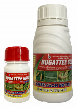 Bugatteegold 120SC - Xuyen A (1) Bugatteegold 120SC - Xuyen A (1)