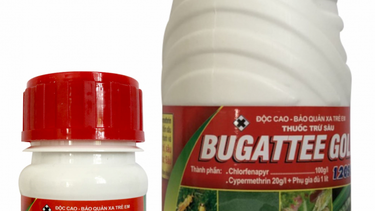 Bugatteegold 120SC - Xuyen A (1)