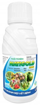 z3007938956897_a58e74245f287447a7b45b25590772e8