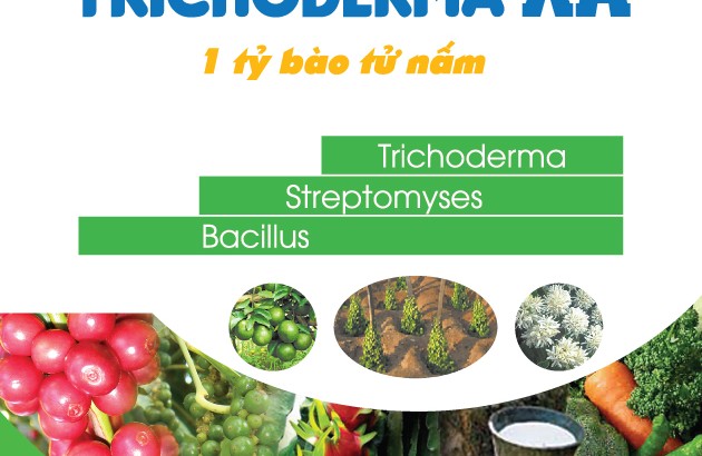 Decal TRICHODERMA 3E Thuan Tam Xuyen A_(160 x 240) mm A