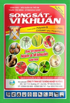 z3007940600542_6a8755b7e0abb45f73158da6cb3e2911 z3007940600542_6a8755b7e0abb45f73158da6cb3e2911