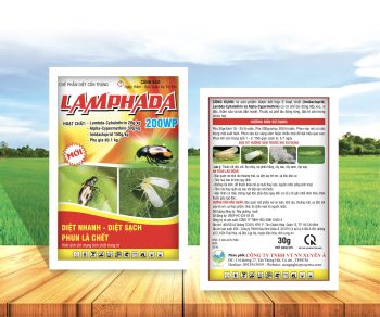 6ED3D6EE-BF9A-4E22-96C5-0486375E0280