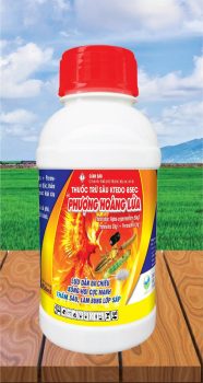 PHUONG HOANG LỬA PHUONG HOANG LỬA