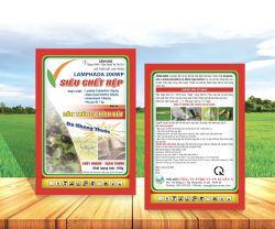 z3221516486296_4456204d7aeac3a3998c1f174682e4b9