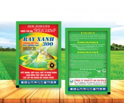 z3701915510552_ed54b9680ec8408b1dc5026e0bf57a1d