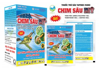 chim sau my 3D